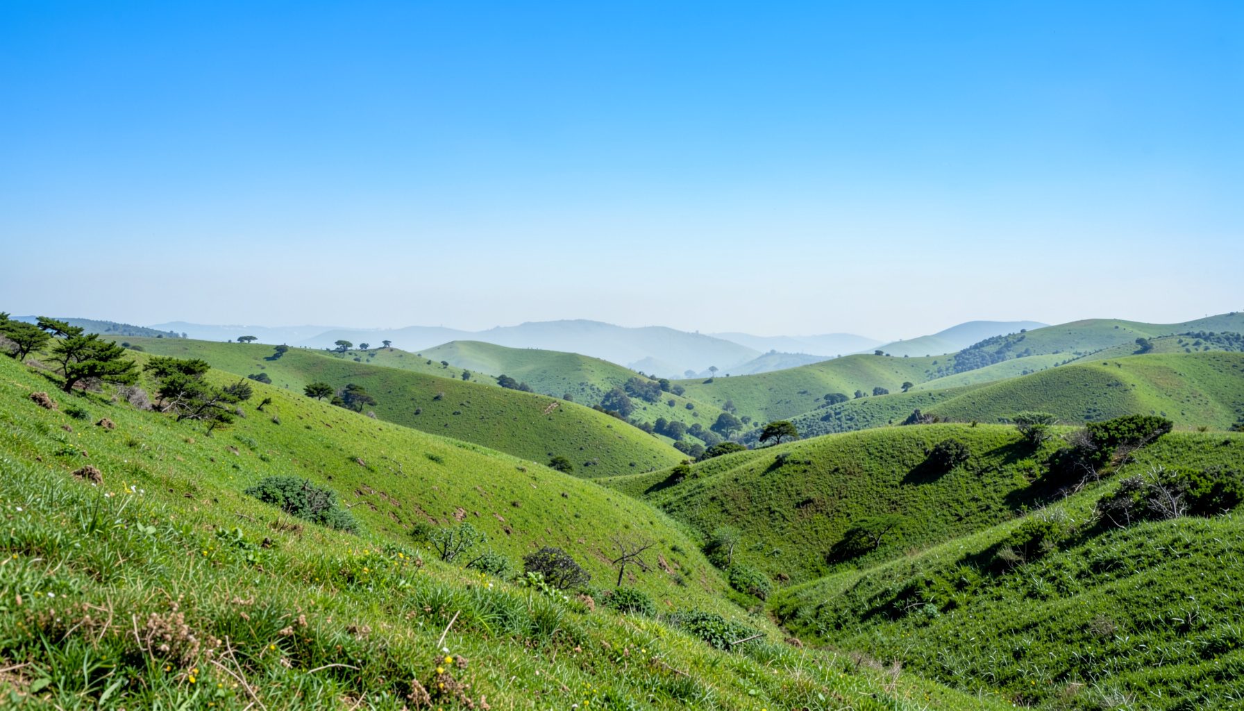 Wide landscape of rolling green hills under a soft blue sky at midday, with a faint haze near the horizon suggesting air quality awareness